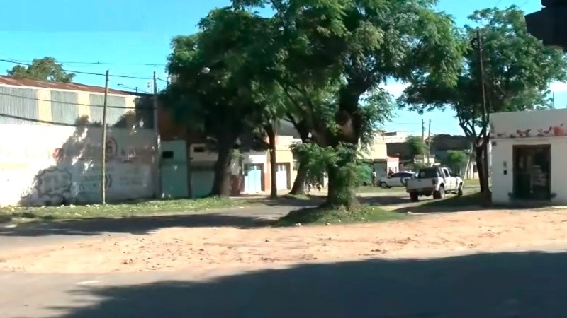 Orinó sobre un panal, lo picaron más de 150 abejas y terminó falleciendo